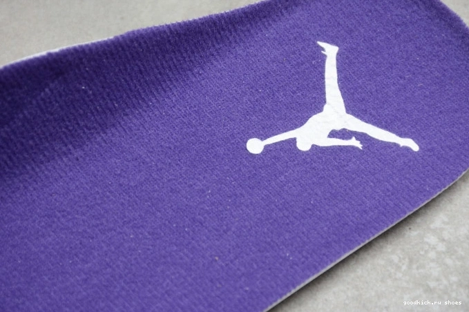 Cheap Air Court Jordan CT8527-115 Purple 4 0731